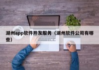 湖州app软件开发服务（湖州软件公司有哪些）